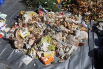 Den Země: Rozbor domovního odpadu – Fyzická analýza – Kam s ním?