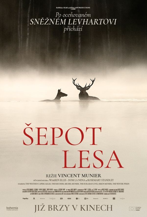 Šepot lesa