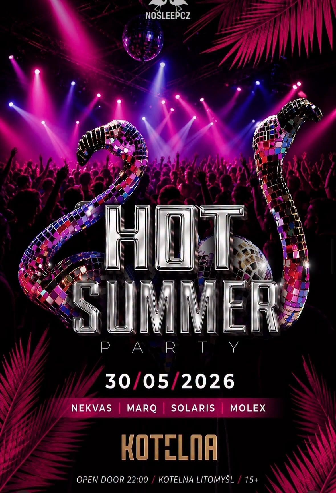 Hot Summer Party