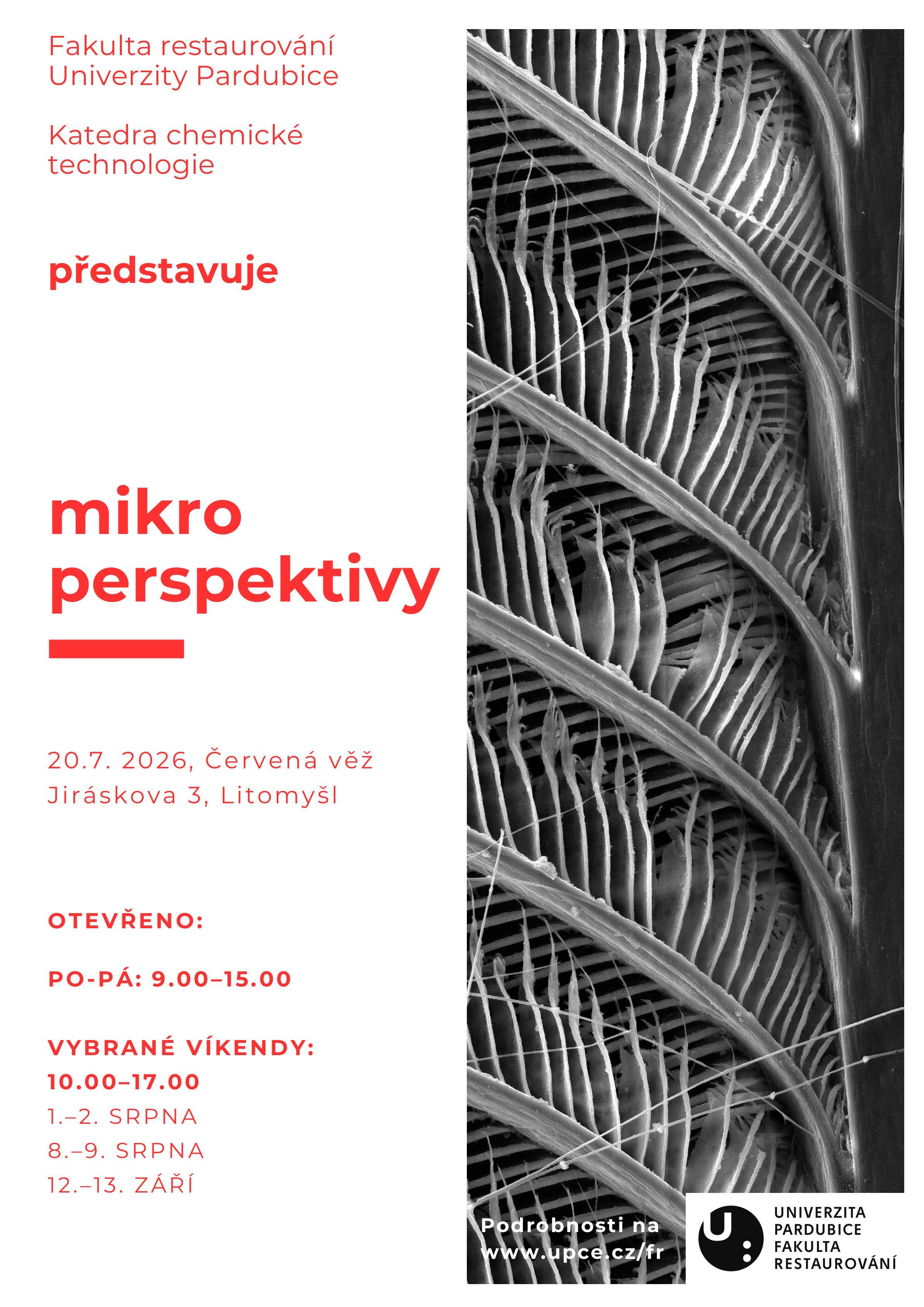 Mikroperspektivy