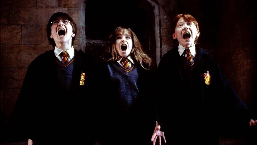 Harry Potter a kámen mudrců