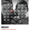 Obrázek k Mouchy