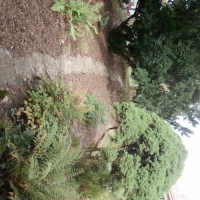 obrázek k Po realizaci