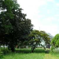 obrázek k Před realizací