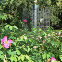 obrázek k Památník