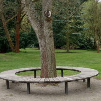 obrázek k Pojďme ven! 4