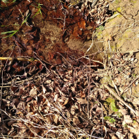 obrázek k Zvelebení Oseckého údolí