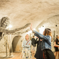 obrázek k doprovodný program