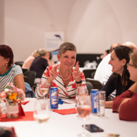 obrázek k společenský večer