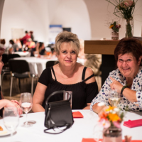 obrázek k společenský večer