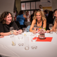 obrázek k společenský večer