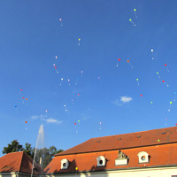 obrázek k doprovodný program