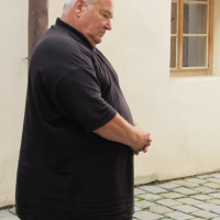 obrázek k Ing. Petr Víšek (2)