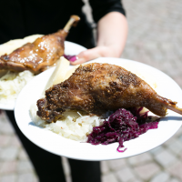 obrázek k Litomyšlská veselice již první víkend v září! 