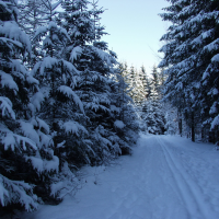 obrázek k Andrlův Chlum