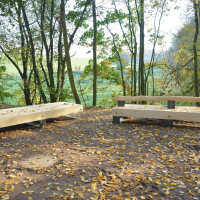 obrázek k Příměstský les Černá hora - lesopark