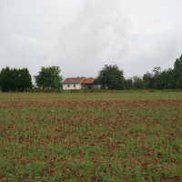 obrázek k Cvičiště kynologického klubu