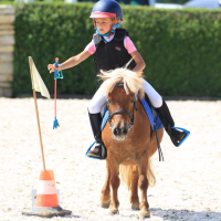 obrázek k Jízdárna - hřebčín Suchá