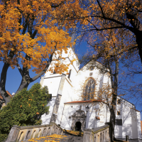 obrázek k Kostel Povýšení sv. Kříže - kapitulní