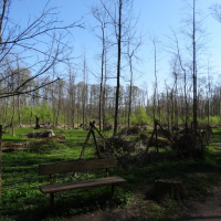 obrázek k Pohled vpravo od kapličky