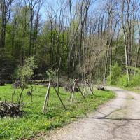 obrázek k Cesta ke kapličce