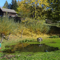 obrázek k Rybníček v Kozlově