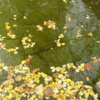 obrázek k Máchadlo a Mariánská ulička 