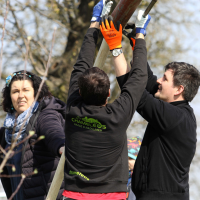 obrázek k V dubnu zapustilo kořeny 45 Stromů života pro Litomyšlata