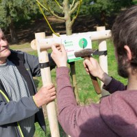 obrázek k V dubnu zapustilo kořeny 45 Stromů života pro Litomyšlata