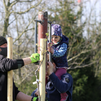 obrázek k V dubnu zapustilo kořeny 45 Stromů života pro Litomyšlata