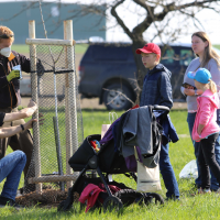 obrázek k V dubnu zapustilo kořeny 45 Stromů života pro Litomyšlata