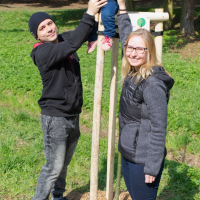 obrázek k Chcete pro své dítě zasadit Strom života?