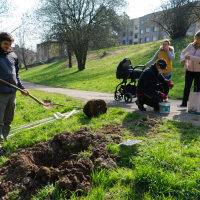 obrázek k Chcete pro své dítě zasadit Strom života?