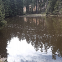 obrázek k Panské rybníky Jarošov