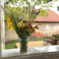 obrázek k Apartmán U Litomyšle