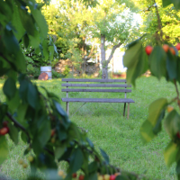 obrázek k Apartmán U Litomyšle