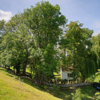 obrázek k Židovský hřbitov