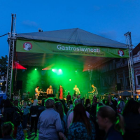 Gastronomické slavnosti Magdaleny Dobromily Rettigové