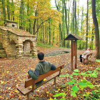 obrázek k Nedošínský háj