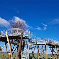 obrázek k Fajmonova lípa - vyhlídka v obci Čistá