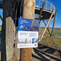 obrázek k Fajmonova lípa - vyhlídka v obci Čistá