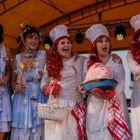 obrázek k Zahájení litomyšlské lázeňské sezóny letos na téma: „Kuděj, voni nás nenuděj!“