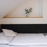 obrázek k Penzion Tašner