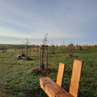 obrázek k Litomyšl - park Z. Kopala