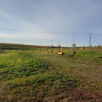 obrázek k Litomyšl - park Z. Kopala