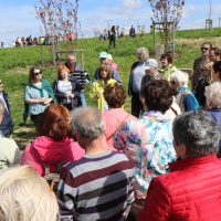 obrázek k Litomyšl - park Z. Kopala