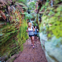 obrázek k Toulovcovy maštale