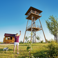 obrázek k Toulovcova rozhledna 