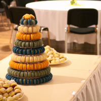 obrázek k fotografie z roku 2023