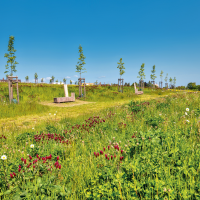 obrázek k Park Zdeňka Kopala